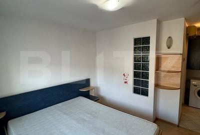 Apartament cu 2 camere decomandat, mobilat în Palat - 5