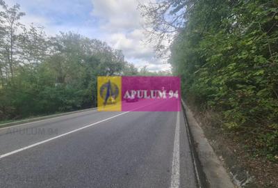 Teren de vânzare în Câmpina - 3