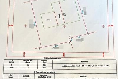 Casa P+1 cu design deosebit, Valu lui Traian - 21