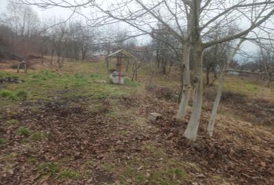 Spațiu comercial, în Goranu - 1