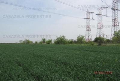 Teren extravilan, com. Frumusani, Calarasi - 2