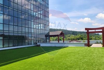 Spațiu birouri de inchiriat 57-127 mp Clasa A Gruia. - 17