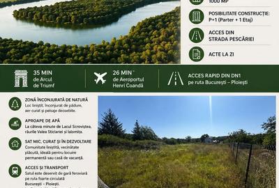 Teren de 1000 mp, în Bălteni - 3