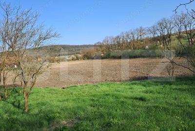 Casă cu 2 camere cu Teren 15000 Mp în Central - 17