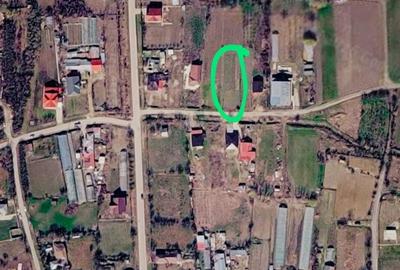 Teren de 774 mp, în Crivăț - 4
