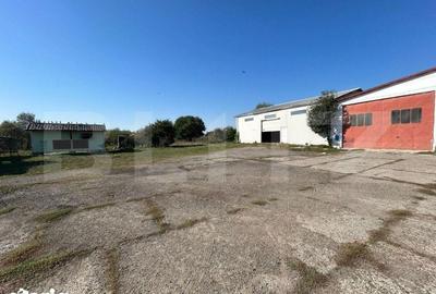 Spațiu comercial, de 220 mp, în Șcheia - 5