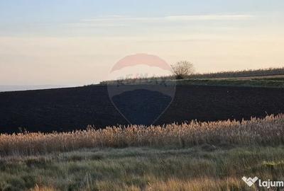 Teren de 30077 mp, în Stroiești - 1