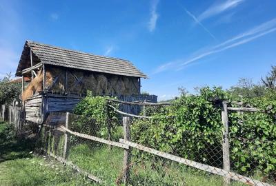 Casă cu 2 camere cu Teren 30 Mp în Târgu Logrești - 4