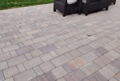 Casă cu Teren 430 Mp în Plopi - 1