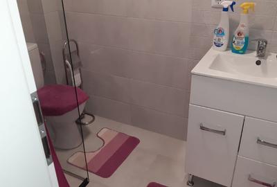 Apartament cu 2 camere semidecomandat în Cetate - 6