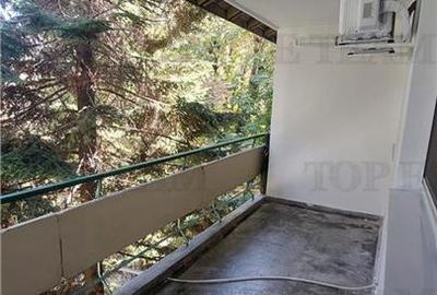 Apartament cu 2 camere semidecomandat în Timpuri Noi - 8