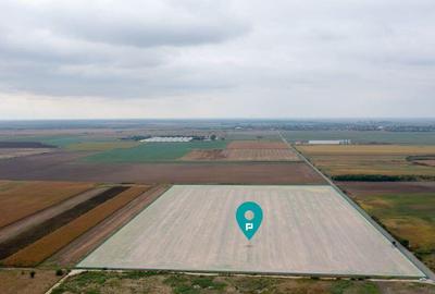 Teren extravilan 5 hectare ( zona industriala ) ?ag - 9