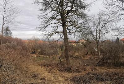 Spațiu comercial, în Feleacu - 5