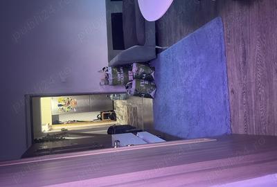 Apartament 3 camere Vanzare Drumul Taberei - 8