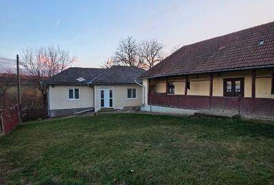 Casă individuală cu 4 camere cu Canalizare în Deleni - 2