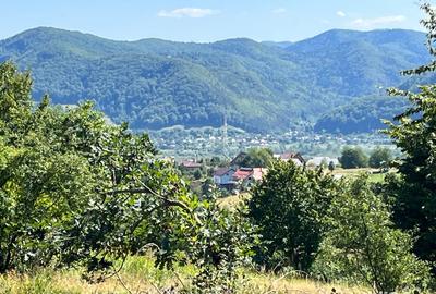 Teren de 10000 mp, în Alexandru cel Bun - 8