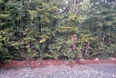 Teren de 1861 mp, în Central - 3