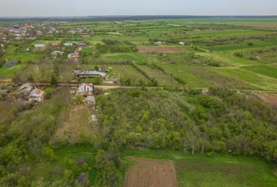 LETCA NOUA, TEREN CONSTRUCTII 1184 MP, FRONT 21 M ! - 7