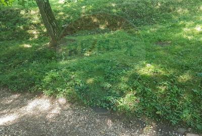 1.72 ha TEREN DE VANZARE - Seini - 3