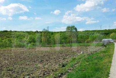 Teren de 3100 mp, în Dej - 4