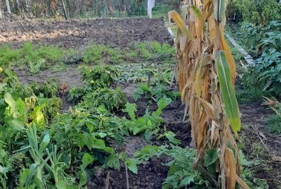 Casa de vanzare str Tepes Voda Nr 82 - 5