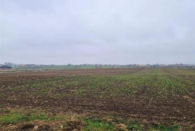 Spațiu comercial, în Cihei