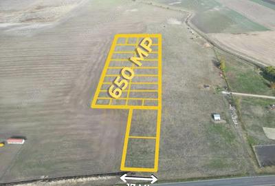 Teren de 650 mp, în Dudeștii Noi - 5