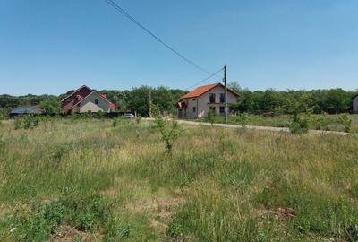 Teren intravilan inconjurat de padure - Ciofliceni, Snagov - 9