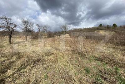 Teren intravilan in suprafata de 2000 mp, zona Episcopiei - 2