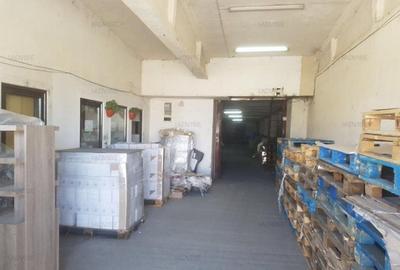 Spațiu industrial, 109 mp în Cristian