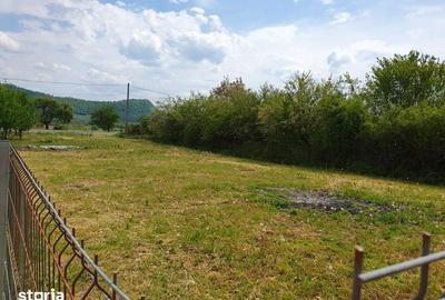Teren de 1000 mp, în Viișoara - 1