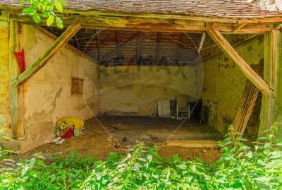 Casă cu 4 camere cu Teren 1642 Mp în Hoghiz - 11