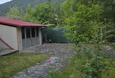 Casă cu 3 camere cu Teren 400 Mp în Sinaia - 9