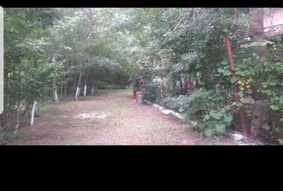 Casă cu 6 camere cu Teren 4000 Mp în Petrești - 3