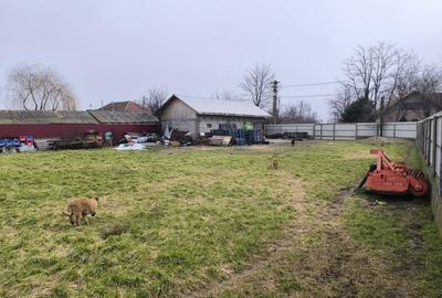 Casă în Maxenu - 2