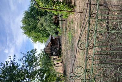 Casa la tara sat Silistea com Vitanesti - 3