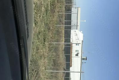 Teren de 9001 mp, în Freidorf - 1