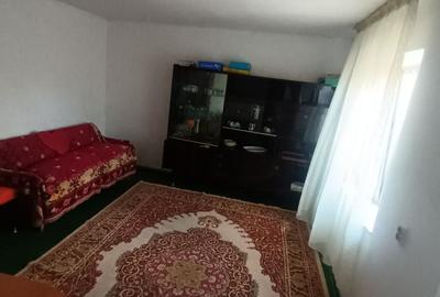 Casă cu 2 camere în Coiciu - 2
