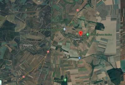 Teren de 896 mp, în Cherechiu - 2