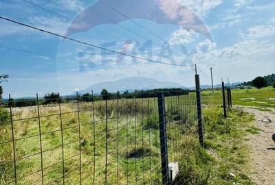 Teren Construcții intravilan de 1042 mp, în Sarasău - 5