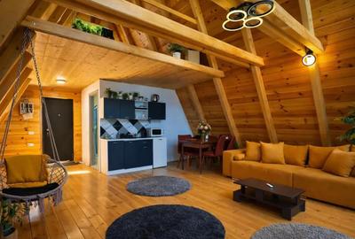 Casă cu 9 camere cu Teren 5700 Mp în Moieciu - 9