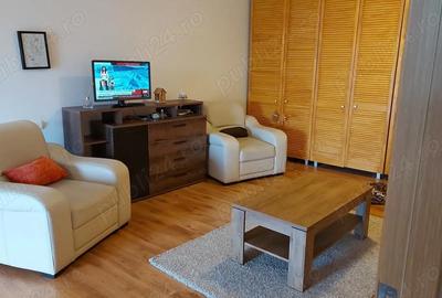 Apartament cu 2 camere semidecomandat în Ozana - 8