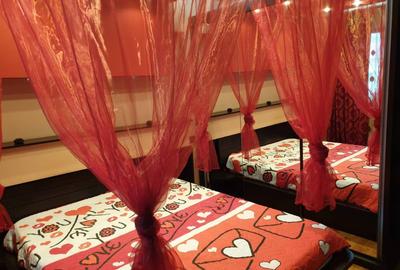 Apartament cu 2 camere, DECOMANDAT, zona Copou-Universitatea Cuza - 4