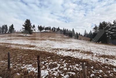 Teren de 8290 mp, în Sadova - 3