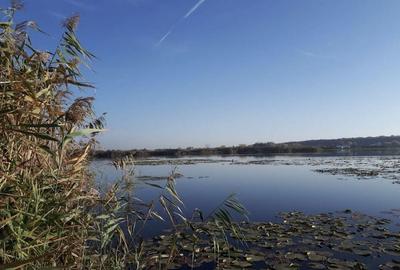 Teren de 2500 mp, în Snagov - 1