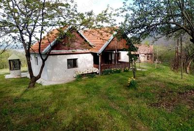 Casă cu 2 camere cu Teren 8000 Mp în Barbura - 5