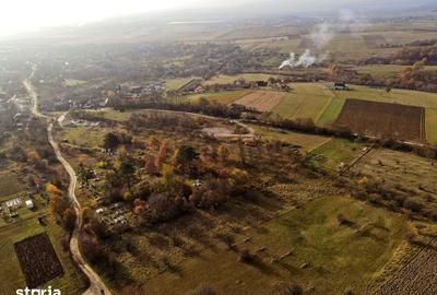 Teren de 808 mp, în Valea Crișului - 2