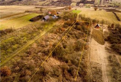 Spațiu comercial, în Vadu Crișului - 4