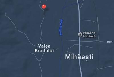 Teren de 7500 mp, în Mihăești - 4