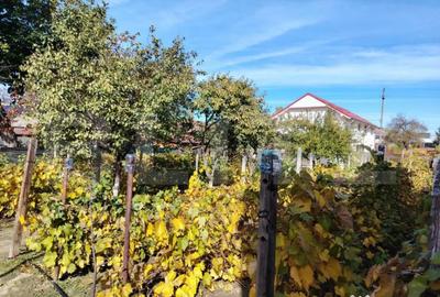 Casă cu 4 camere cu Teren 884 Mp în Central - 6